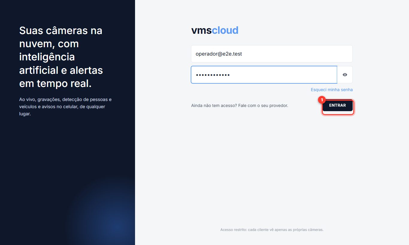 Tela de login com e-mail e senha preenchidos e o botão Entrar destacado